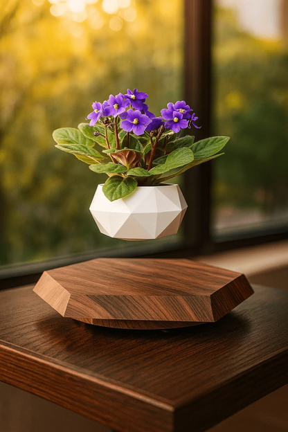 Levitating Floating Flower Pot with Wood-Base Design
