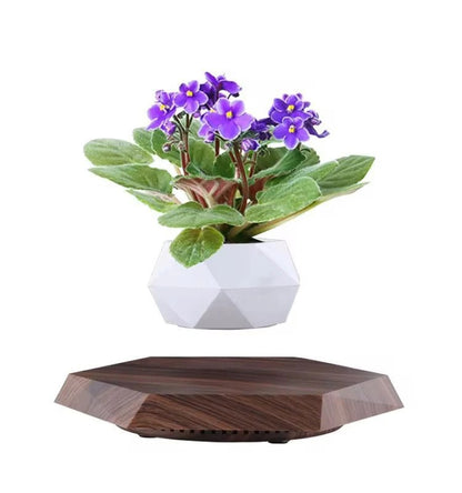 Levitating Floating Flower Pot with Wood-Base Design
