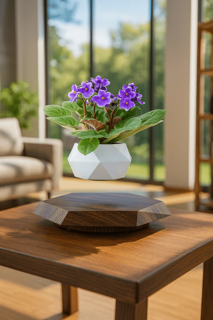 Levitating Floating Flower Pot with Wood-Base Design